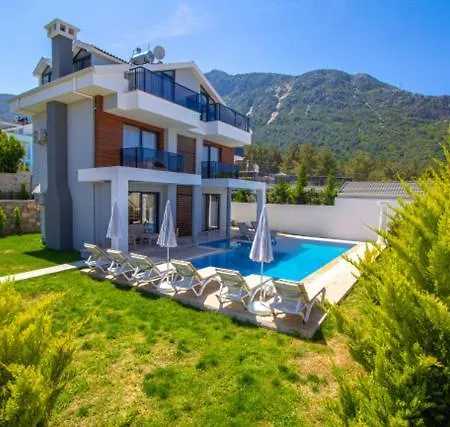 빌라 Onno Villa, Oezel Havuzlu, 페티예